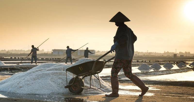 Pexels/Quang Nguyen Vinh