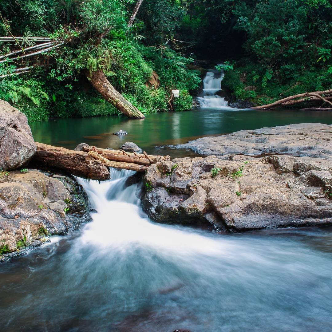 Instagram/petrusronyps