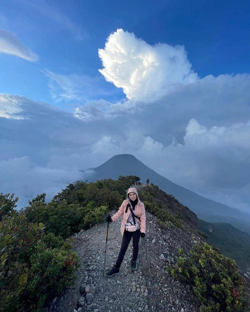 Instagram.com/ammarzoni