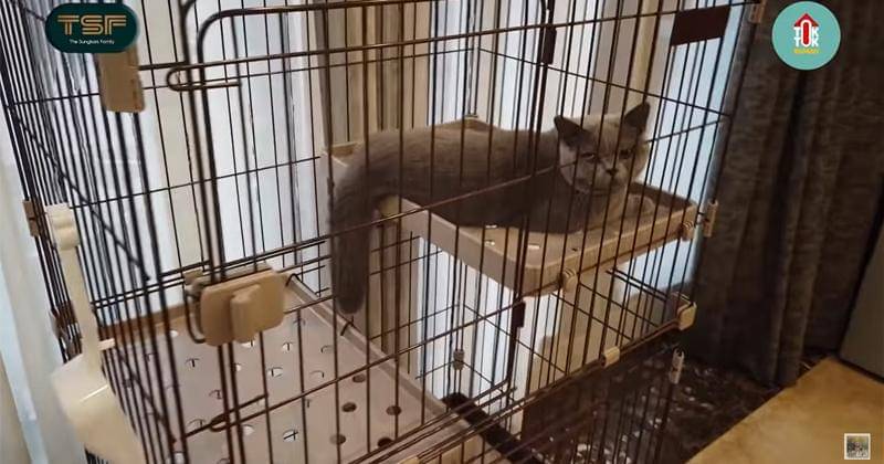 Youtube.com/The Sungkars Family