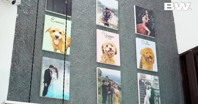 Youtube.com/Boy William