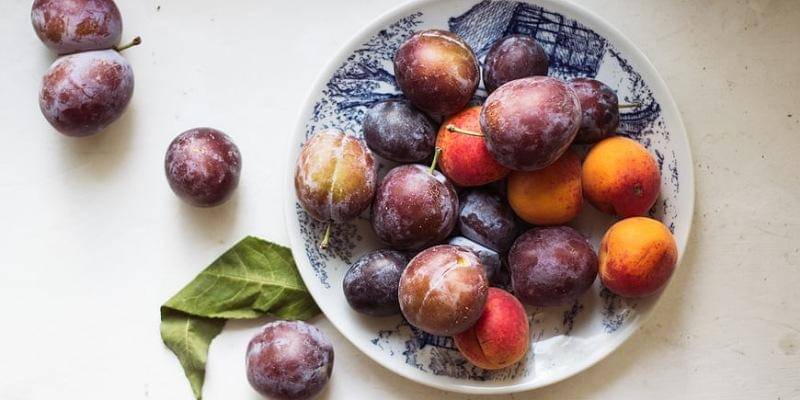 Unsplash/Vladimir Gladkov