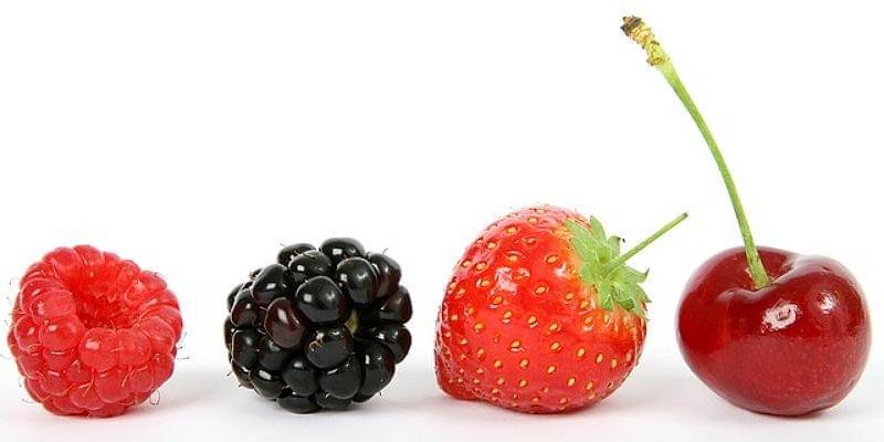 Pixabay/Shutterbug75