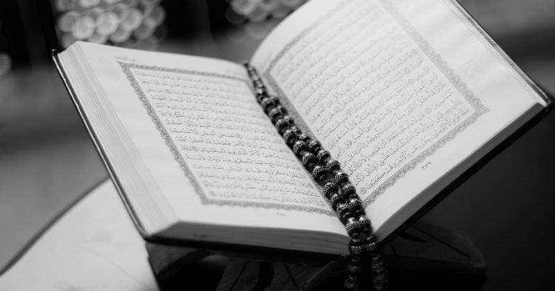 Pexels.com/Abdulmeilk