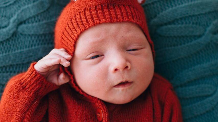 Pexels/wildlittlethingsphoto