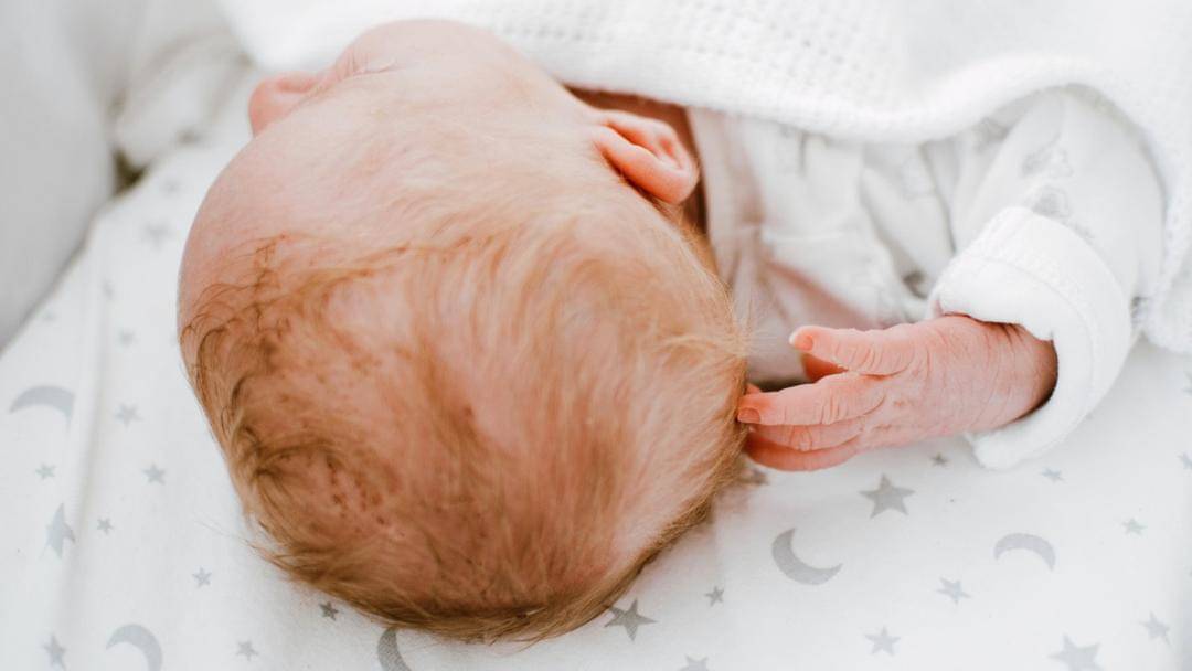 Pexels/fotios-photos