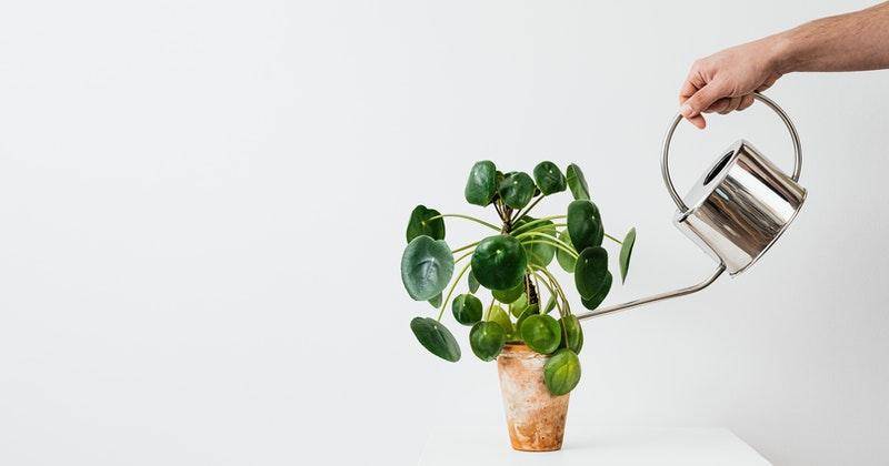Pexels/Karolina Grabowska