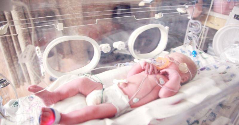 Unsplash/Sharon McCutcheon