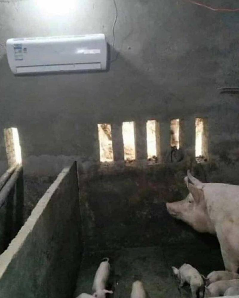 Instagram.com/infotekniksipil