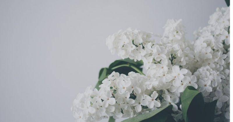 Unsplash/Veri_ivanova