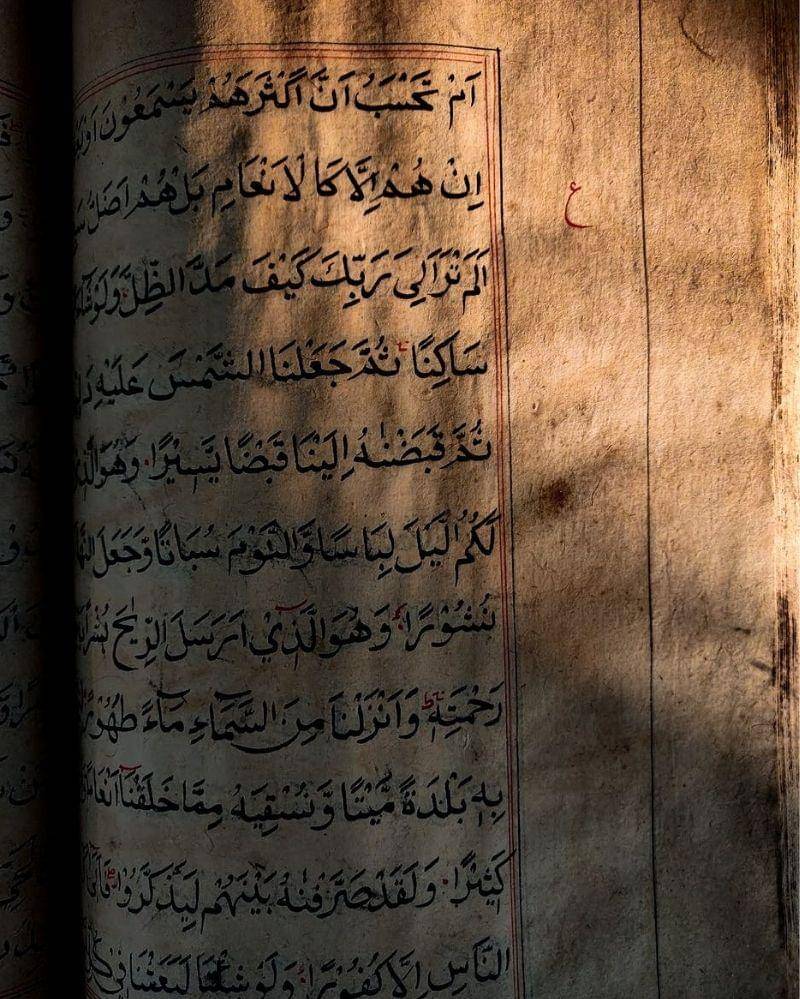 Pexels/Ismaeel Zakariya