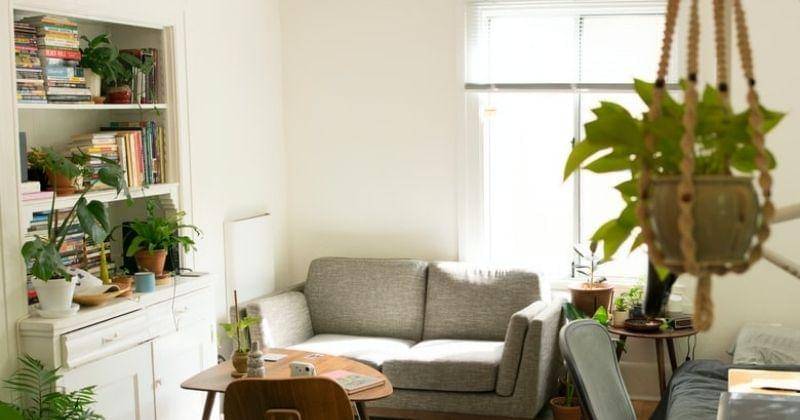 Unsplash/Patrickperkins