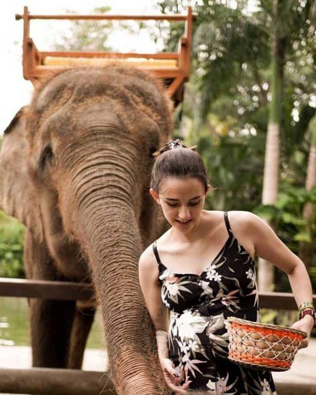 Instagram.com/dahliachr