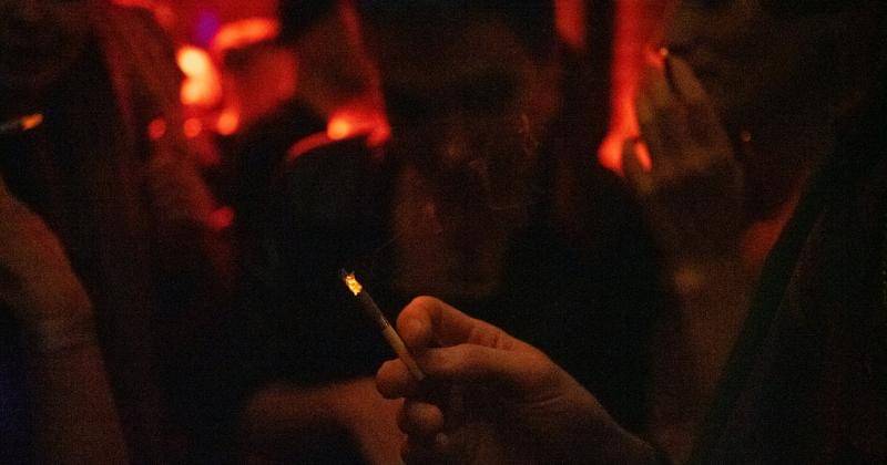 Ilustrasi - Pexels/Daria Sannikova