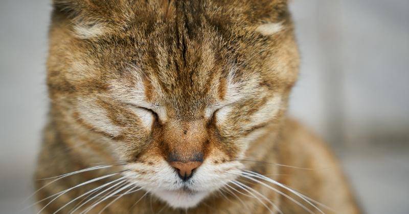 Freepik/freestockcenter