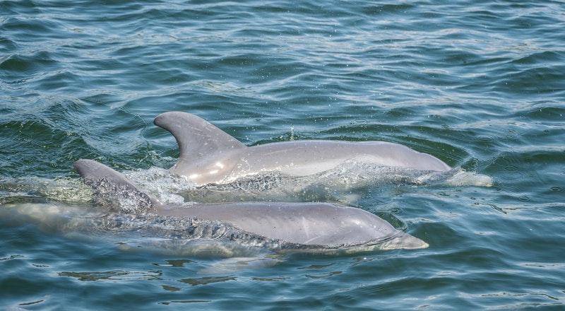 Pexels/Enrique Hoyos