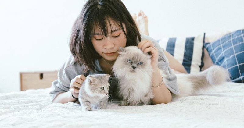 Ilustrasi - Pexels/tranmautritam