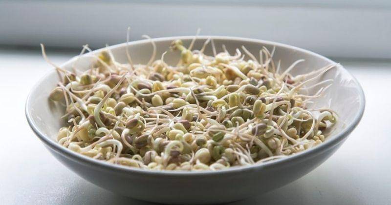 Unsplash/Milada_vigerova