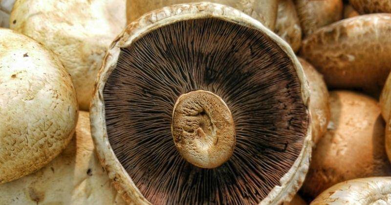 Unsplash/Harshalhirve