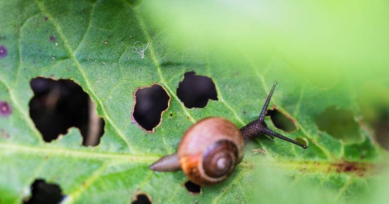 Unsplash/Ante Hamersmit