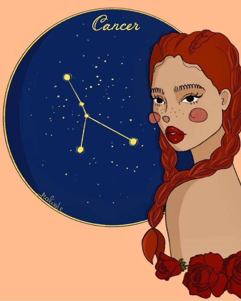 Instagram.com/Fralidesign