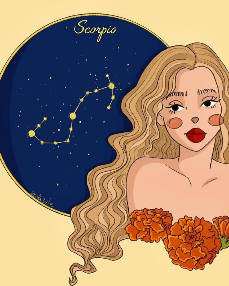 Instagram.com/Fralidesign