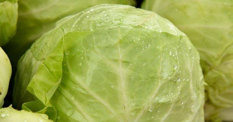 Unsplash/Shelleypauls