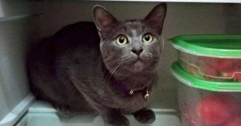 Twitter.com/Namdodoku