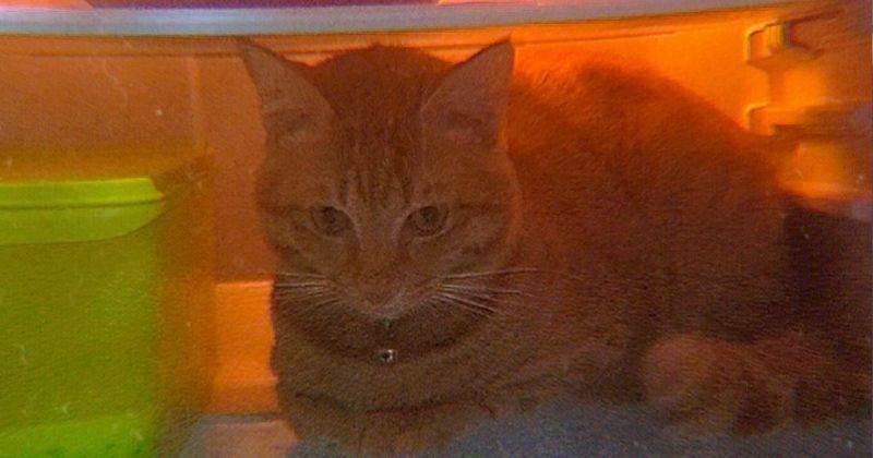 Twitter.com/Jejekaa_