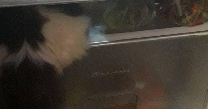 Twitter.com/Itachidanna