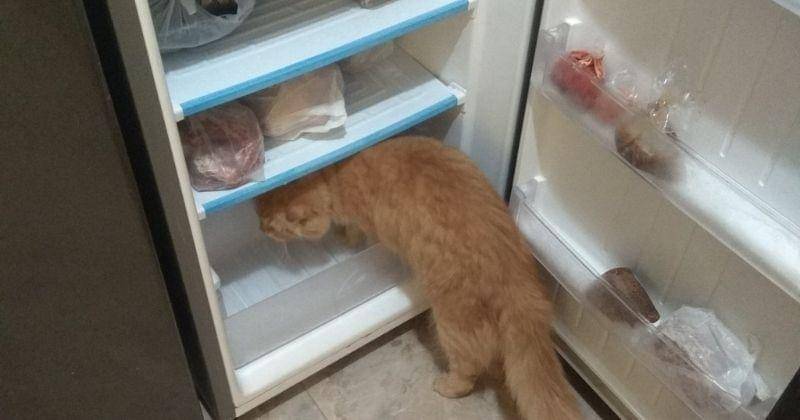 Twitter.com/CizYoungcaKe