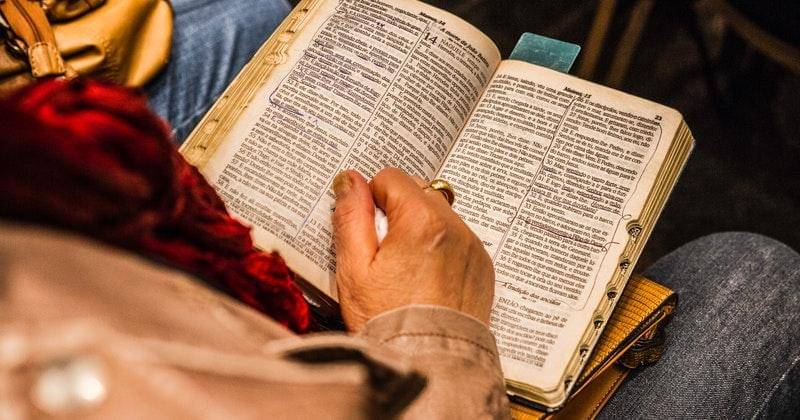 Pexels/Eduardo Braga