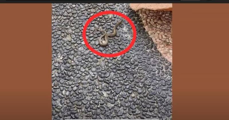 Youtube/Rachel Goddard