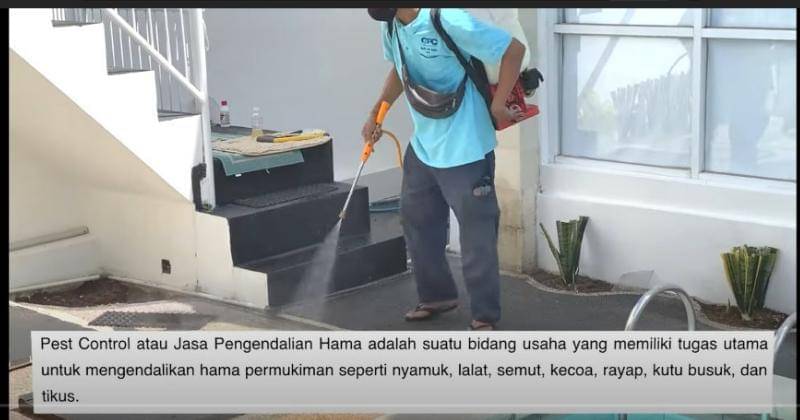 Youtube/Rachel Goddard