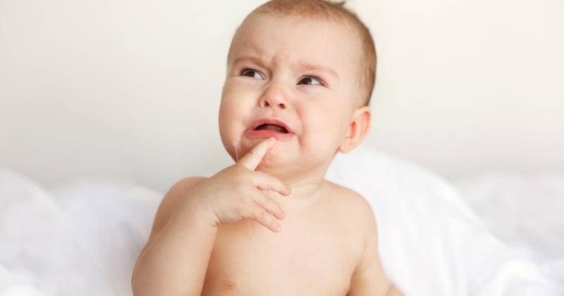 Freepik/cookie_studio