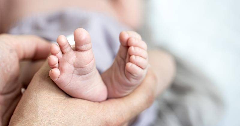 Freepik/pvproductions