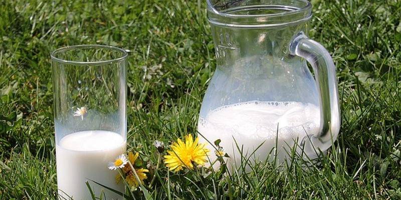 Pixabay/Myriams-Fotos