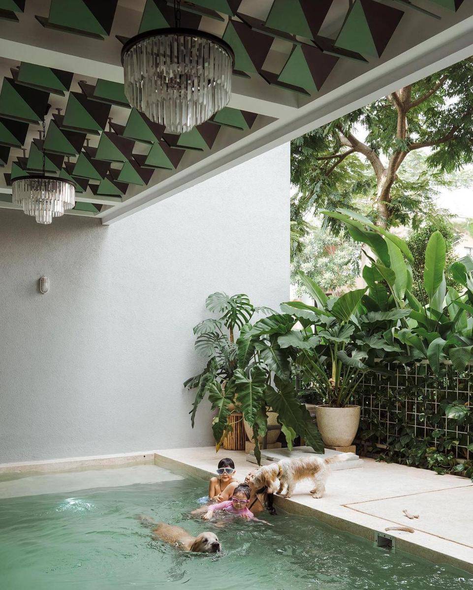 Instagram.com/tail_wagging