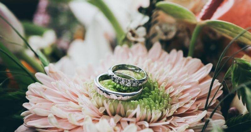 Unsplash/Nickkarvounis