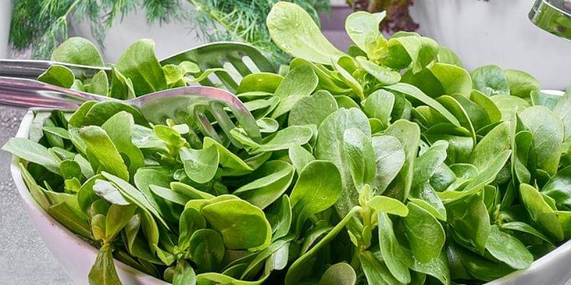 Pixabay/Engin_Akyurt