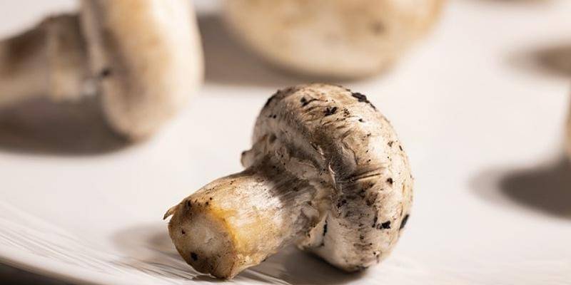 Pixabay/Engin_Akyurt