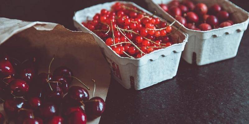 Unsplash/Markus Spiske