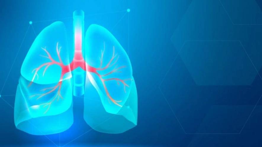 Freepik/rawpixel-com