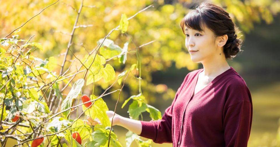 Instagram.com/modernroyalera