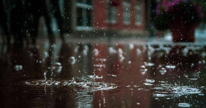 Pexels.com/VladChetan