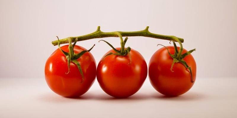 Unsplash/Alex Ghizila