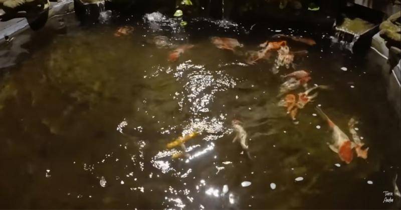 Youtube.com/Tiara Andini