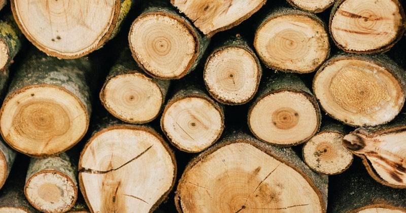 Pexels/Anastasiya Vragova