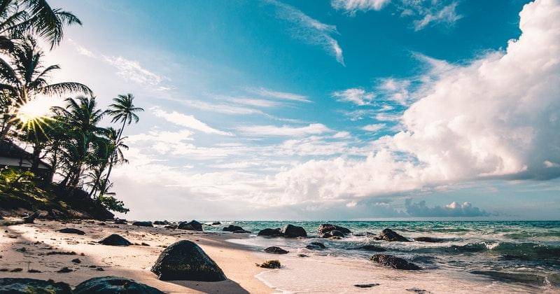 Pexels/Fabian Wiktor