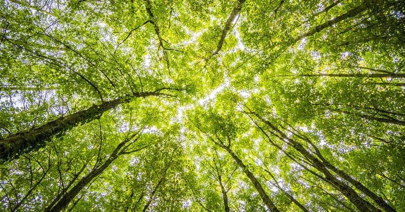 Pexels/Felix Mittermeier